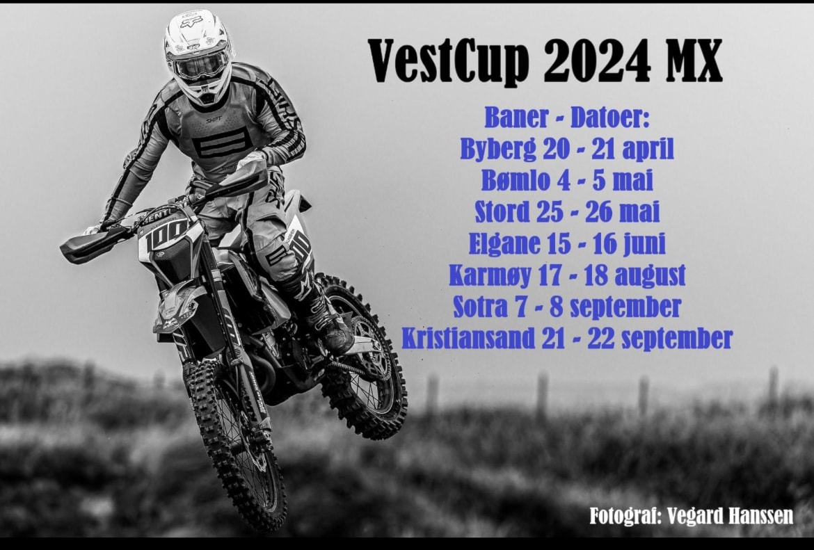 VestCup 2024